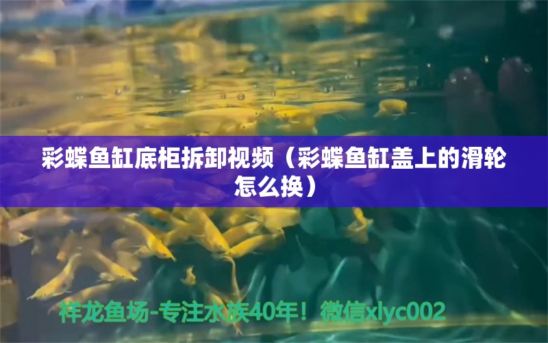 彩蝶魚缸底柜拆卸視頻（彩蝶魚缸蓋上的滑輪怎么換）