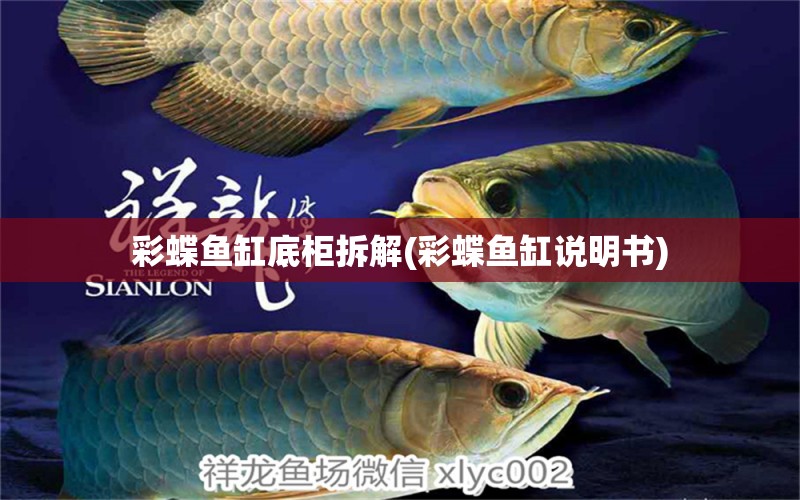 彩蝶魚缸底柜拆解(彩蝶魚缸說(shuō)明書) 白子黑帝王魟魚