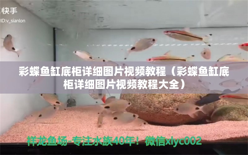 彩蝶魚(yú)缸底柜詳細(xì)圖片視頻教程（彩蝶魚(yú)缸底柜詳細(xì)圖片視頻教程大全）