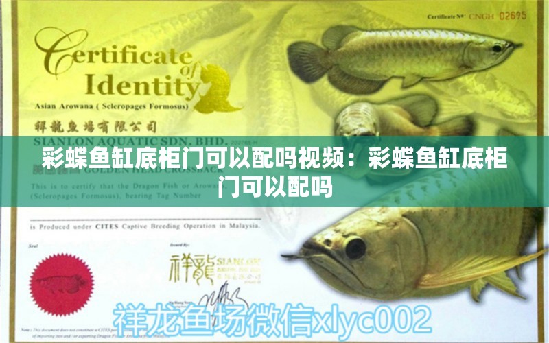 彩蝶魚缸底柜門可以配嗎視頻：彩蝶魚缸底柜門可以配嗎 彩鰈魚缸（彩蝶魚缸） 第2張