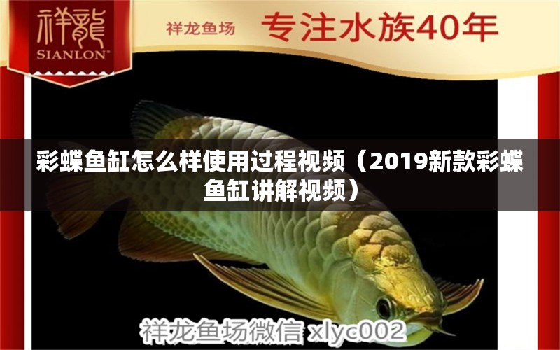 彩蝶魚缸怎么樣使用過程視頻（2019新款彩蝶魚缸講解視頻）