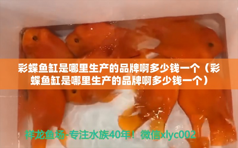 彩蝶魚缸是哪里生產(chǎn)的品牌啊多少錢一個（彩蝶魚缸是哪里生產(chǎn)的品牌啊多少錢一個）