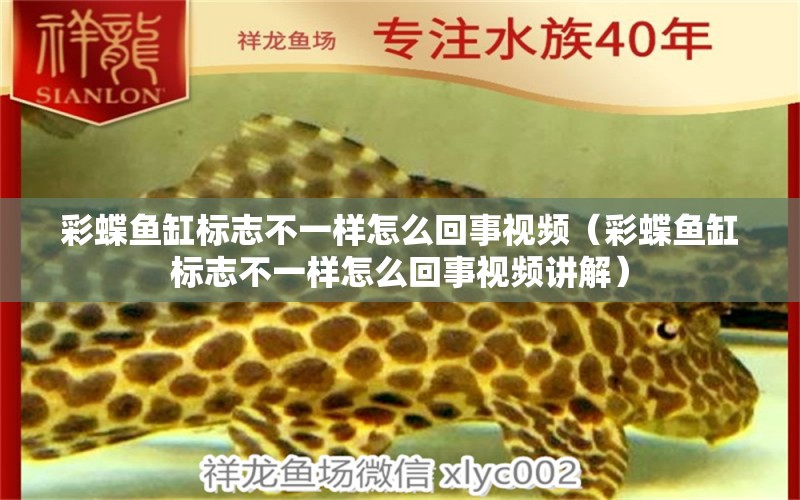 彩蝶魚缸標(biāo)志不一樣怎么回事視頻（彩蝶魚缸標(biāo)志不一樣怎么回事視頻講解）