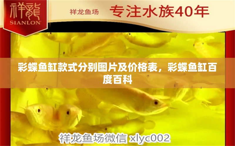 彩蝶魚缸款式分別圖片及價格表，彩蝶魚缸百度百科 斯維尼關(guān)刀魚