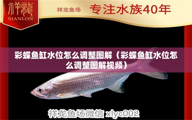 彩蝶魚缸水位怎么調(diào)整圖解（彩蝶魚缸水位怎么調(diào)整圖解視頻）