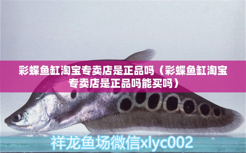 彩蝶魚缸淘寶專賣店是正品嗎（彩蝶魚缸淘寶專賣店是正品嗎能買嗎）