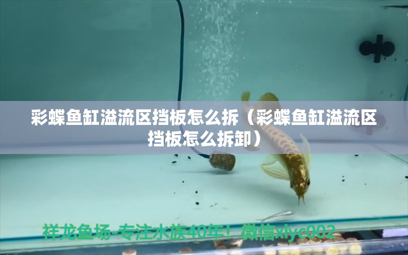 彩蝶魚缸溢流區(qū)擋板怎么拆（彩蝶魚缸溢流區(qū)擋板怎么拆卸）