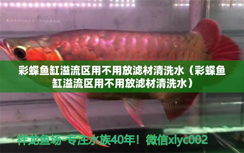 彩蝶魚缸溢流區(qū)用不用放濾材清洗水（彩蝶魚缸溢流區(qū)用不用放濾材清洗水）