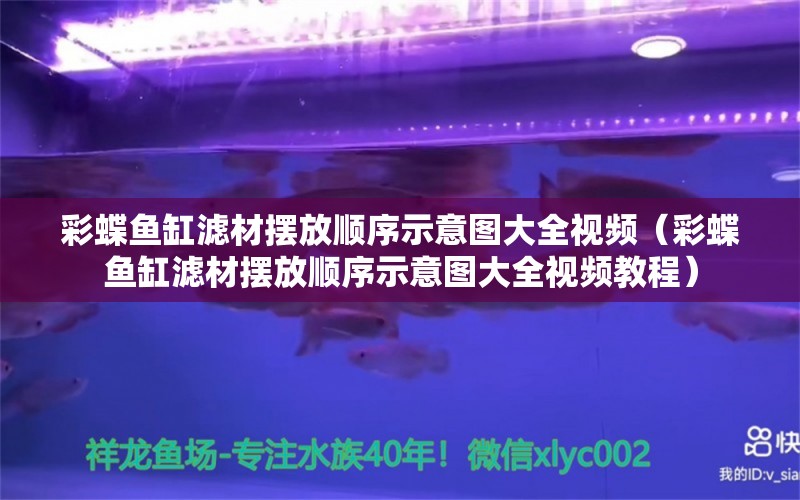 彩蝶魚缸濾材擺放順序示意圖大全視頻（彩蝶魚缸濾材擺放順序示意圖大全視頻教程）