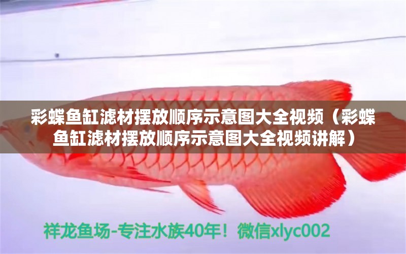 彩蝶魚缸濾材擺放順序示意圖大全視頻（彩蝶魚缸濾材擺放順序示意圖大全視頻講解）