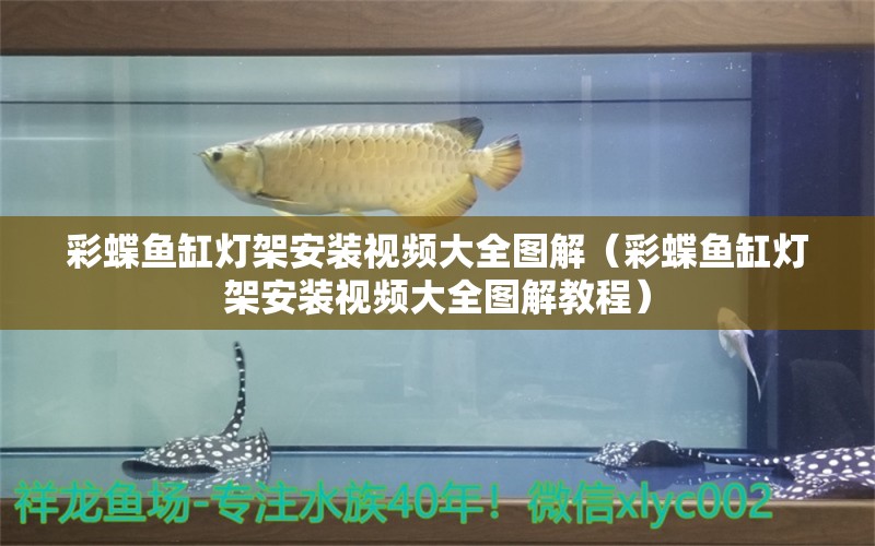 彩蝶魚缸燈架安裝視頻大全圖解（彩蝶魚缸燈架安裝視頻大全圖解教程）