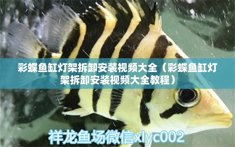 彩蝶魚缸燈架拆卸安裝視頻大全（彩蝶魚缸燈架拆卸安裝視頻大全教程）