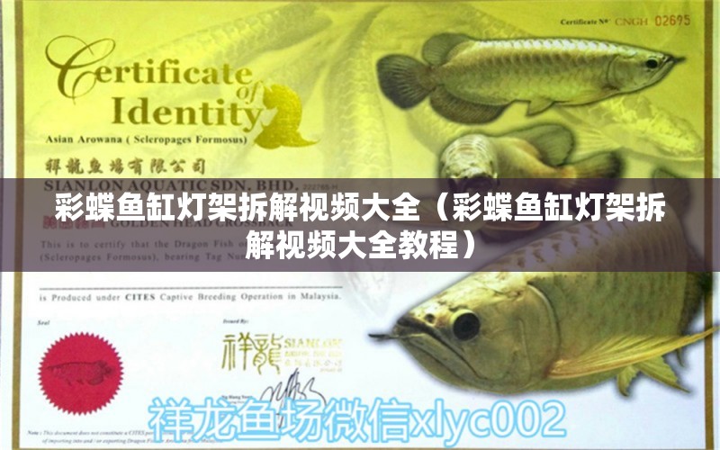 彩蝶魚缸燈架拆解視頻大全（彩蝶魚缸燈架拆解視頻大全教程）