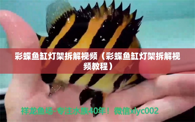 彩蝶魚缸燈架拆解視頻（彩蝶魚缸燈架拆解視頻教程）