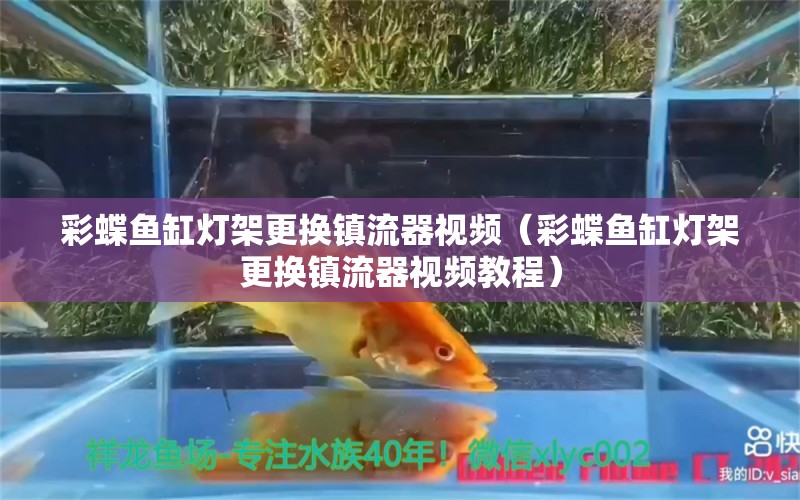 彩蝶魚缸燈架更換鎮(zhèn)流器視頻（彩蝶魚缸燈架更換鎮(zhèn)流器視頻教程）