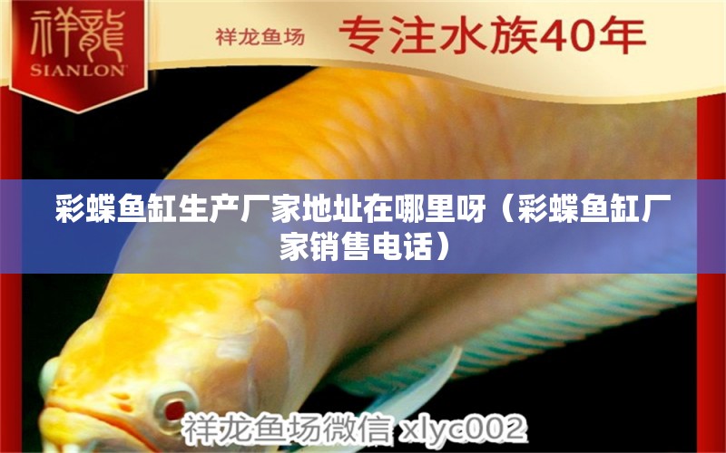 彩蝶魚缸生產(chǎn)廠家地址在哪里呀（彩蝶魚缸廠家銷售電話）