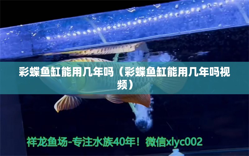 彩蝶魚缸能用幾年嗎（彩蝶魚缸能用幾年嗎視頻）