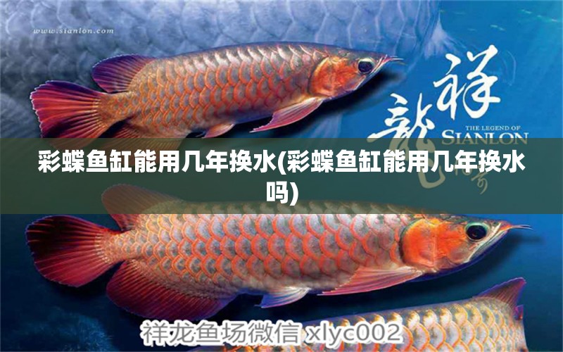 彩蝶魚缸能用幾年換水(彩蝶魚缸能用幾年換水嗎) 觀賞龜/鱉飼料