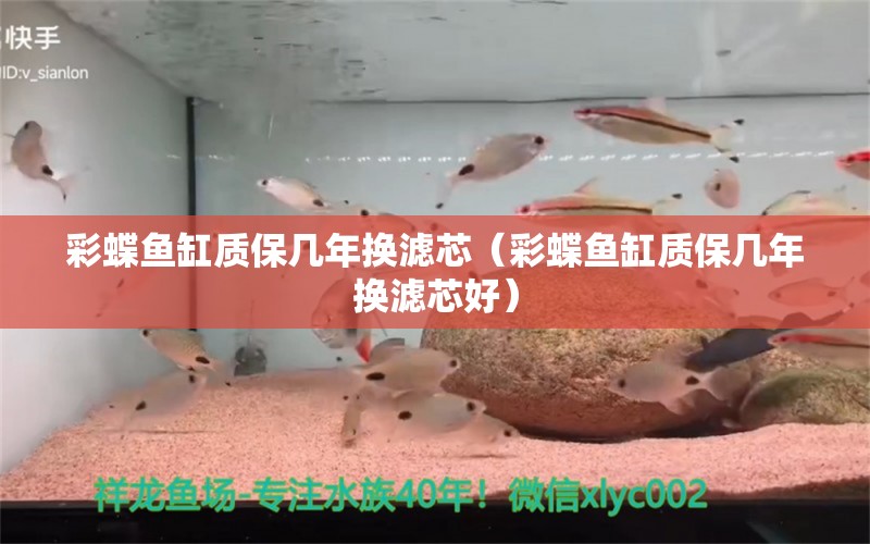 彩蝶魚(yú)缸質(zhì)保幾年換濾芯（彩蝶魚(yú)缸質(zhì)保幾年換濾芯好） 印尼小紅龍