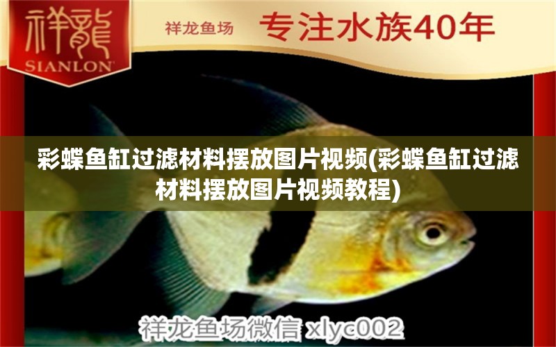 彩蝶魚缸過濾材料擺放圖片視頻(彩蝶魚缸過濾材料擺放圖片視頻教程)