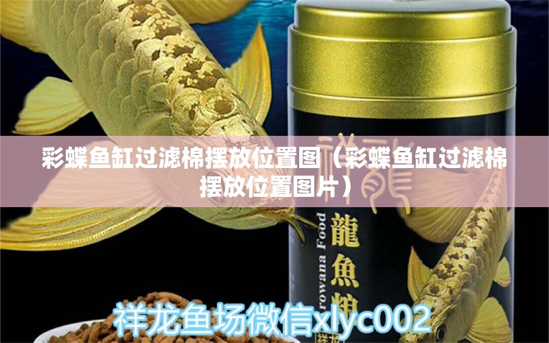 彩蝶魚缸過濾棉擺放位置圖（彩蝶魚缸過濾棉擺放位置圖片） 祥龍魚場(chǎng)