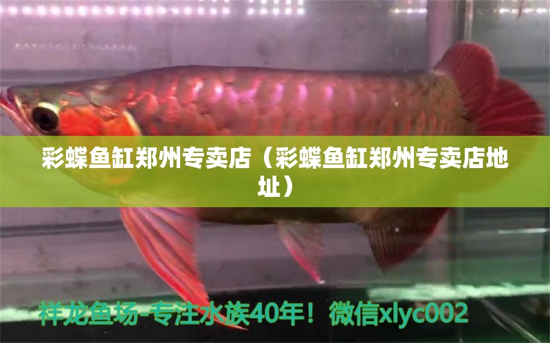 彩蝶魚缸鄭州專賣店（彩蝶魚缸鄭州專賣店地址）