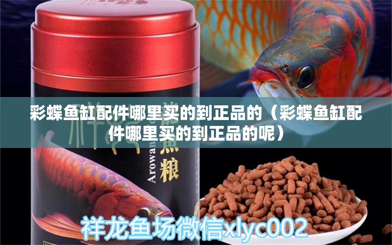 彩蝶魚(yú)缸配件哪里買(mǎi)的到正品的（彩蝶魚(yú)缸配件哪里買(mǎi)的到正品的呢） 祥龍水族醫(yī)院