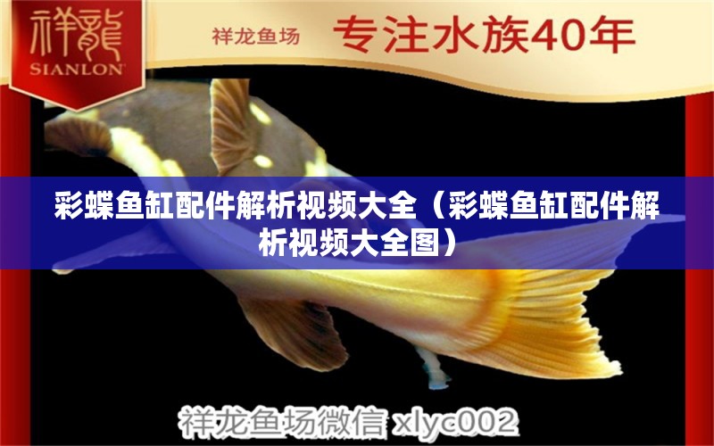 彩蝶魚缸配件解析視頻大全（彩蝶魚缸配件解析視頻大全圖）