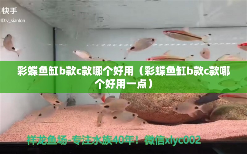 彩蝶魚缸b款c款哪個(gè)好用（彩蝶魚缸b款c款哪個(gè)好用一點(diǎn)）