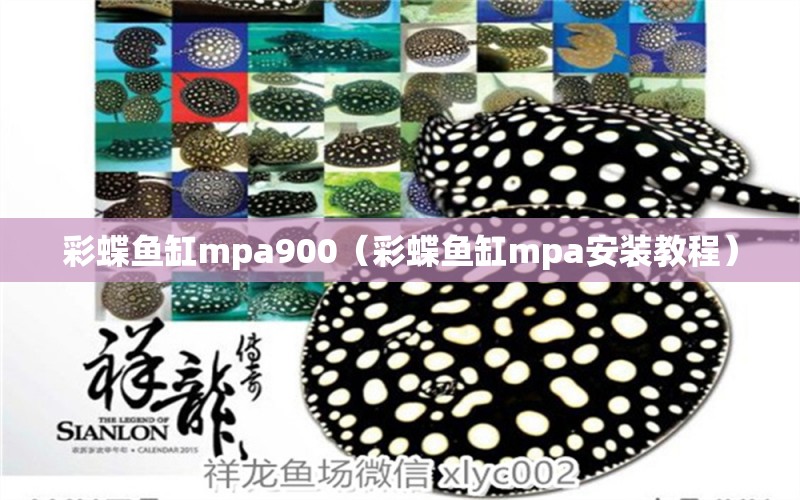 彩蝶魚缸mpa900（彩蝶魚缸mpa安裝教程）