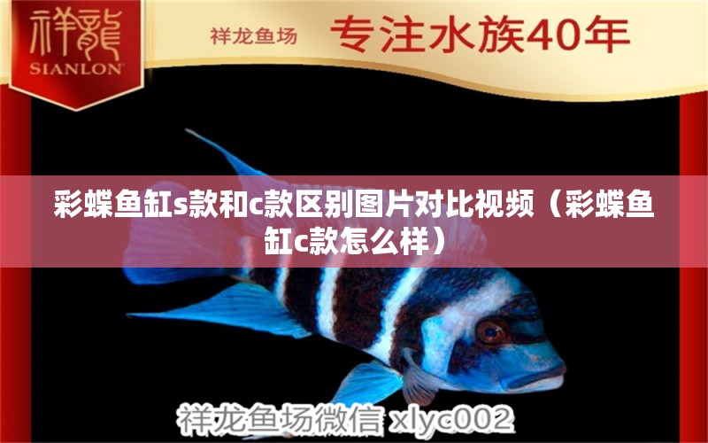 彩蝶魚缸s款和c款區(qū)別圖片對比視頻（彩蝶魚缸c款怎么樣）