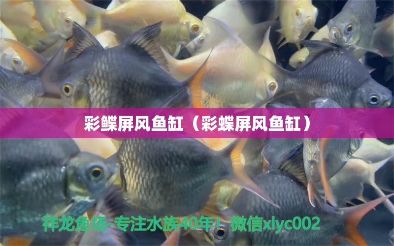 彩鰈屏風(fēng)魚缸（彩蝶屏風(fēng)魚缸） 過濾設(shè)備