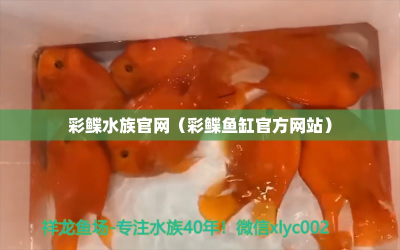 彩鰈水族官網(wǎng)（彩鰈魚缸官方網(wǎng)站） 過(guò)濾設(shè)備