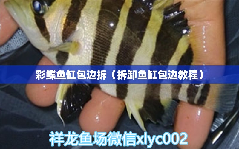 彩鰈魚缸包邊拆（拆卸魚缸包邊教程）