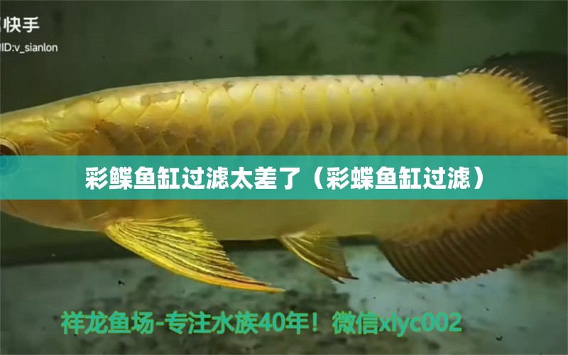 彩鰈魚缸過濾太差了（彩蝶魚缸過濾）