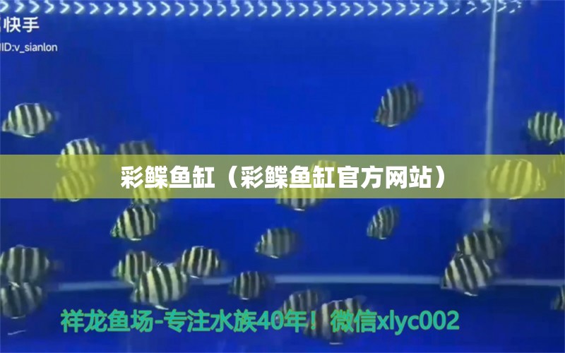 彩鰈魚缸（彩鰈魚缸官方網(wǎng)站）