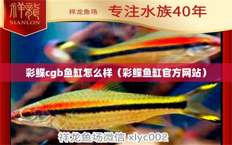 彩鰈cgb魚缸怎么樣（彩鰈魚缸官方網(wǎng)站） 過濾設(shè)備