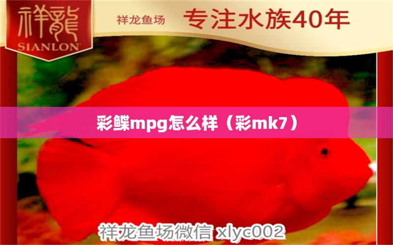 彩鰈mpg怎么樣（彩mk7） 過濾設(shè)備