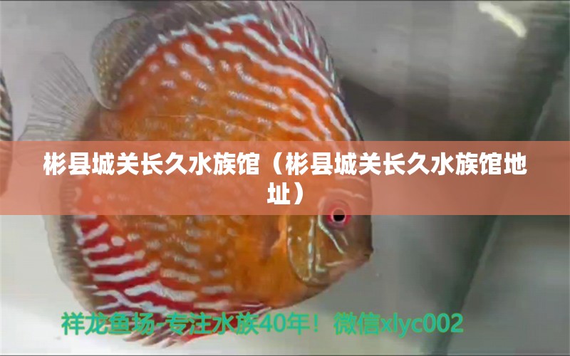 彬縣城關(guān)長久水族館（彬縣城關(guān)長久水族館地址）