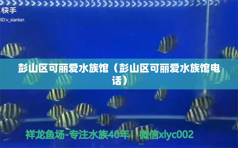 彭山區(qū)可麗愛水族館（彭山區(qū)可麗愛水族館電話） 全國水族館企業(yè)名錄