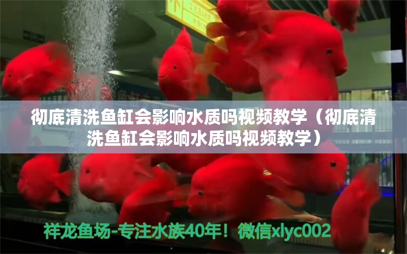 徹底清洗魚缸會影響水質(zhì)嗎視頻教學(xué)（徹底清洗魚缸會影響水質(zhì)嗎視頻教學(xué)）