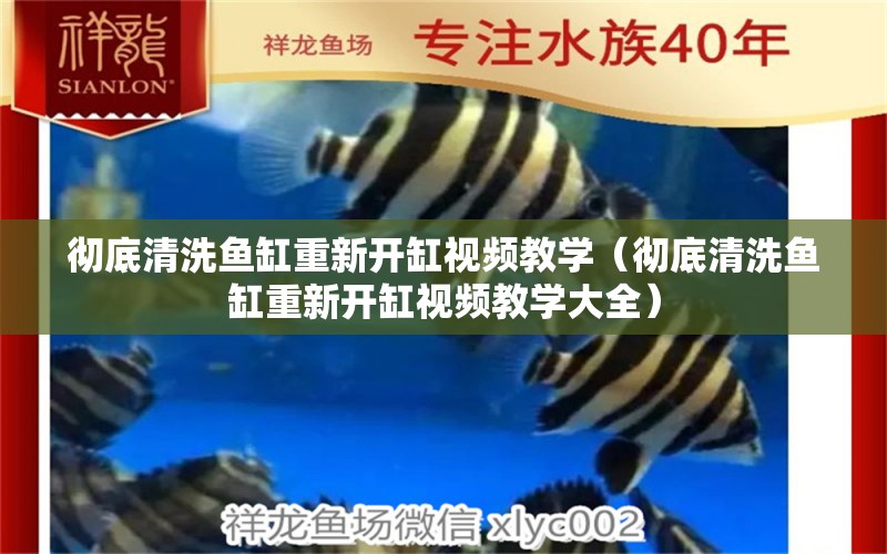 徹底清洗魚缸重新開缸視頻教學(xué)（徹底清洗魚缸重新開缸視頻教學(xué)大全）