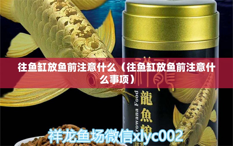 往魚缸放魚前注意什么（往魚缸放魚前注意什么事項） 慈雕魚