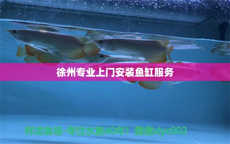 徐州專業(yè)上門安裝魚缸服務(wù) 其他品牌魚缸