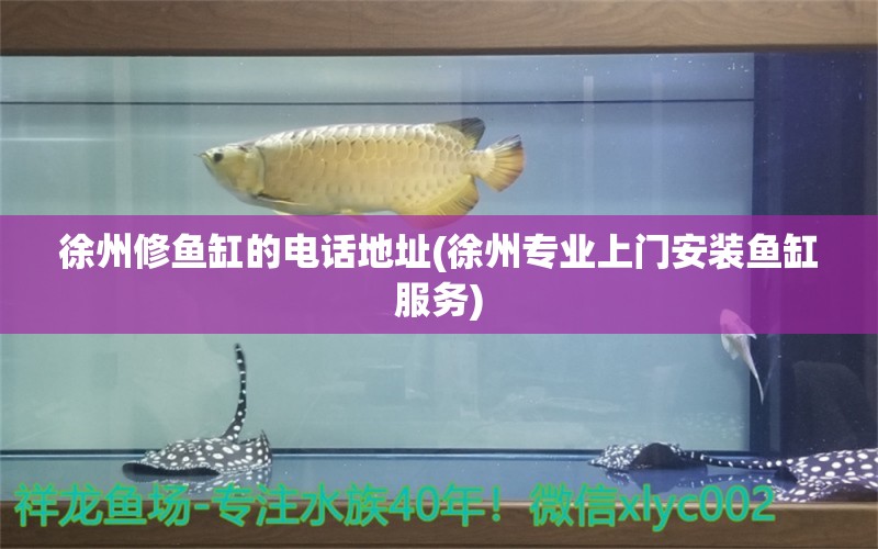 徐州修魚缸的電話地址(徐州專業(yè)上門安裝魚缸服務(wù)) 羅漢魚批發(fā)