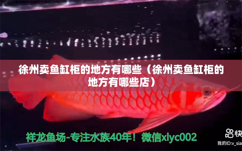 徐州賣魚缸柜的地方有哪些（徐州賣魚缸柜的地方有哪些店）