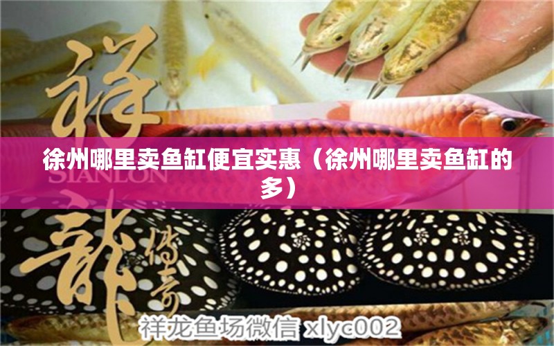 徐州哪里賣魚缸便宜實惠（徐州哪里賣魚缸的多） 祥龍水族醫(yī)院