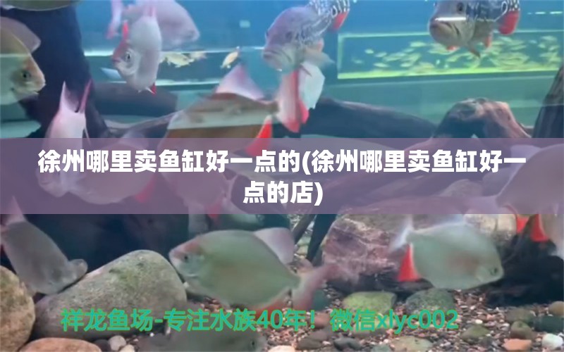 徐州哪里賣魚缸好一點(diǎn)的(徐州哪里賣魚缸好一點(diǎn)的店) 黃寬帶蝴蝶魚