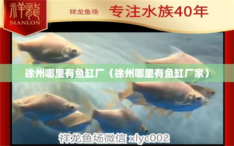 徐州哪里有魚缸廠（徐州哪里有魚缸廠家）