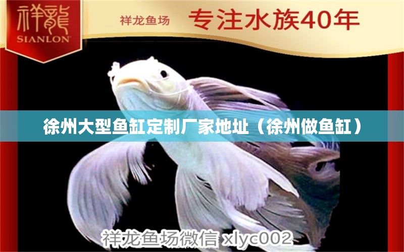 徐州大型魚缸定制廠家地址（徐州做魚缸） 三間鼠魚苗